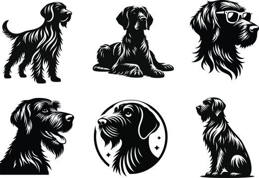 German Wirehaired Pointer Dog set, Clean Vector for Print and Web