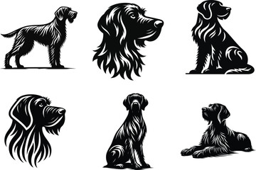 German Wirehaired Pointer Dog Head Illustration, Realistic Pet Drawing