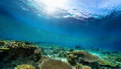 underwater background in ocean