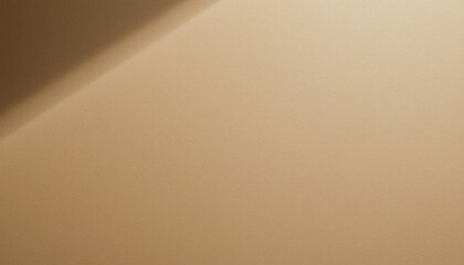 Exploring the subtle textures of a minimalist wall indoor space photography natural light close-up perspective artistic concept