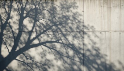 Tree shadow play on concrete wall urban setting photograph natural light artistic perspective capturing nature's contrast