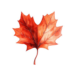 Obraz premium Vibrant red maple leaf capturing the essence of autumn in detailed watercolor style