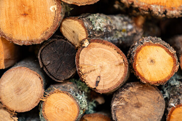 Stack of firewood, natural heating source for winter home