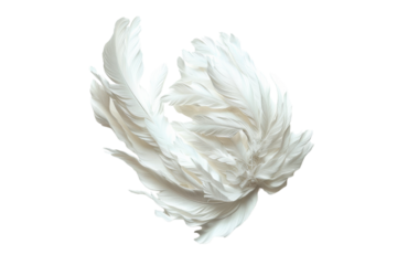 Realistic Motivational Wall Decor Isolated On Transparent Background