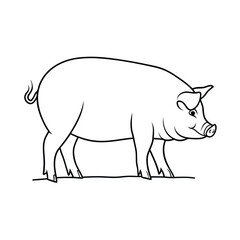 Detailed Black And White Pig Illustration Graphic Line Art Drawing