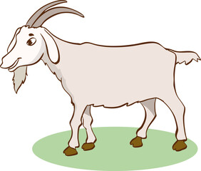 goat on white background