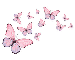 pink watercolor bllue colorblock flock of butterfly design