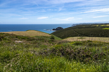 Seacoast with cliffs. Sea horizon.