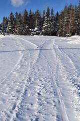 Snowmobile tracks, Sainte-Apolline, Québec, Canada