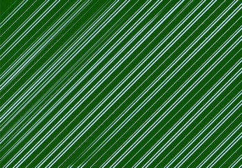 palm leaf background