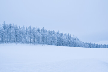 北海道・富良野の冬景色