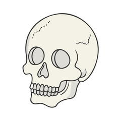 skull icon, skull vector illustration-simple illustration of skull, perfect for skull logos and icons