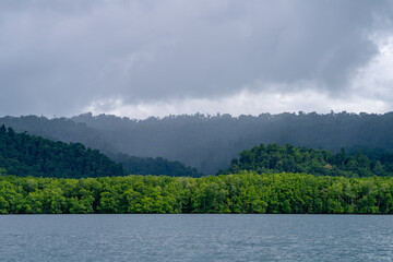 Lush tropical coastline and layered forest ridges create a peaceful jungle scene
