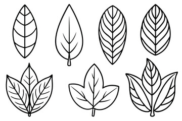 Teak Leaf Outline and Fill Graphics