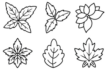 Different Tomato Leaves Set