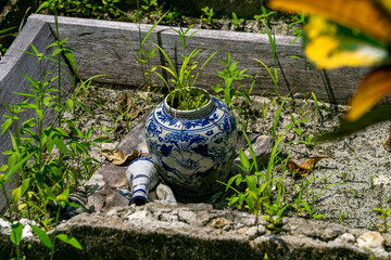 Fototapeta premium Blue floral ceramic jar with grass growing from inside placed in sandy garden