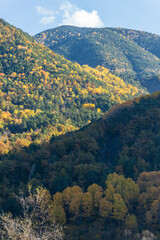 Ordesa national park in the Pyrenees mountains Huesca Aragon Spain