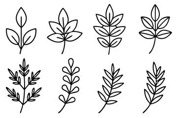 Thyme Leaf Icon Set Collection