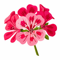 Pink and Red Flower Cluster Illustration. Vector Image