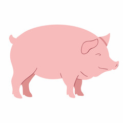 Fototapeta premium Pink Pig Illustration Vector Graphic. Vector Image
