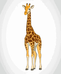 Obraz premium Giraffe illustration standing pose spotted coat. Vector Image