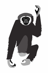 Gibbon Sitting and Raising One Arm. Vector Image