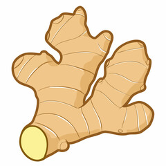 Cartoon illustration of ginger root. Vector Image
