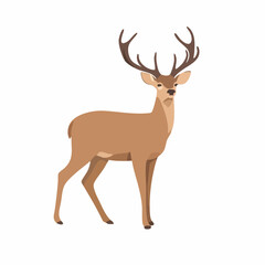 Obraz premium Brown Deer with Large Antlers Standing Side View. Vector Image