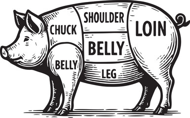 Pig pork butcher vector illustration
