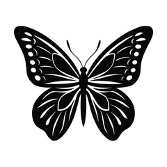 Butterfly Wing Patterns Illustration