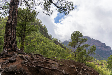 La Palma island Canary archipelago SpainThe Caldera de Taburiente National Park in the centre of the island of La Palma is the number one attraction  