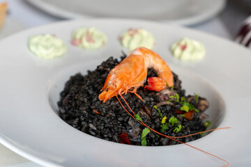 .Try now.close.Delicious black risotto with shrimps