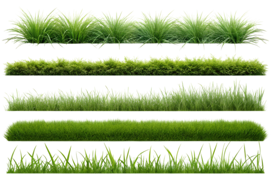 A set of green grass on transparent background 