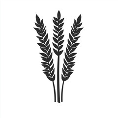 Wheat Solid Line Icon Isolated on White Background