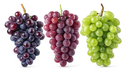 Fototapeta premium grape images with white background