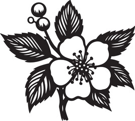 Hawthorn Blossoms in Bloom A Celebration of Nature  Resilience and Beauty