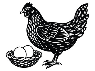A white hen and brown rooster, domestic farm poultry, stand isolated
