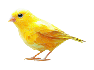 Vibrant yellow bird perched nature animal isolated on transparent background, png
