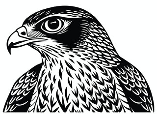 Majestic brown eagle portrait, a wild bird of prey with a sharp beak and piercing eye