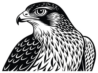 Brown eagle vector illustration, a wild bird of prey with a sharp beak, isolated on white