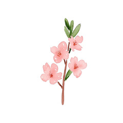 Obraz premium A delicate pink flower branch with green leaves on a white isolated background, perfect for floral designs and nature-themed projects.