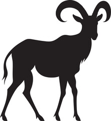 Obraz premium Ibex in the Wild Full Body Movements and Behaviors That Define Their Existence