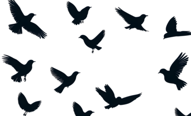 Flying birds silhouettes pattern wallpaper. PNG transparent. isolated bird flying. tattoo design. template for card, package, and wallpaper.