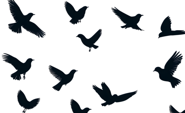Flying birds silhouettes pattern wallpaper. PNG transparent. isolated bird flying. tattoo design. template for card, package, and wallpaper.