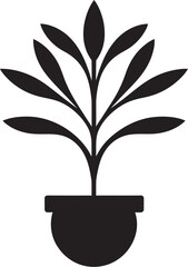 Beyond the Bloom The Detailed Illustration of a Plant  Lifecycle