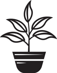 Rooted in Art An Illustrated Exploration of Plant Root Systems and Their Importance
