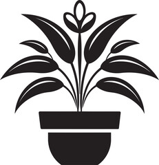 The Art of Observation Mastering the Technique of Plant Illustration