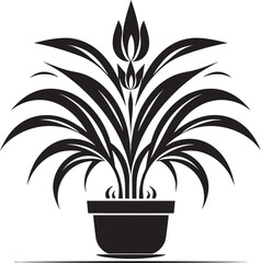 Botanical Diversity Illustrating the Unique Characteristics of Various Plants