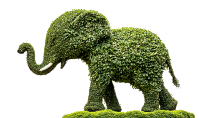 Green Topiary Elephant Sculpture Surrounded by Lush Vegetation Isolate on Transparent Background, cutout, png