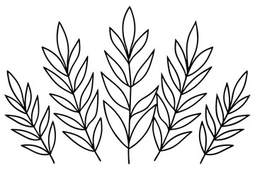 ZZ Plant Leaf Set Botanical Clipart
